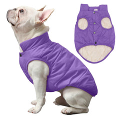 JoyDaog 2-layer fleece-lined dog jacket back view shows windproof outer layer.
