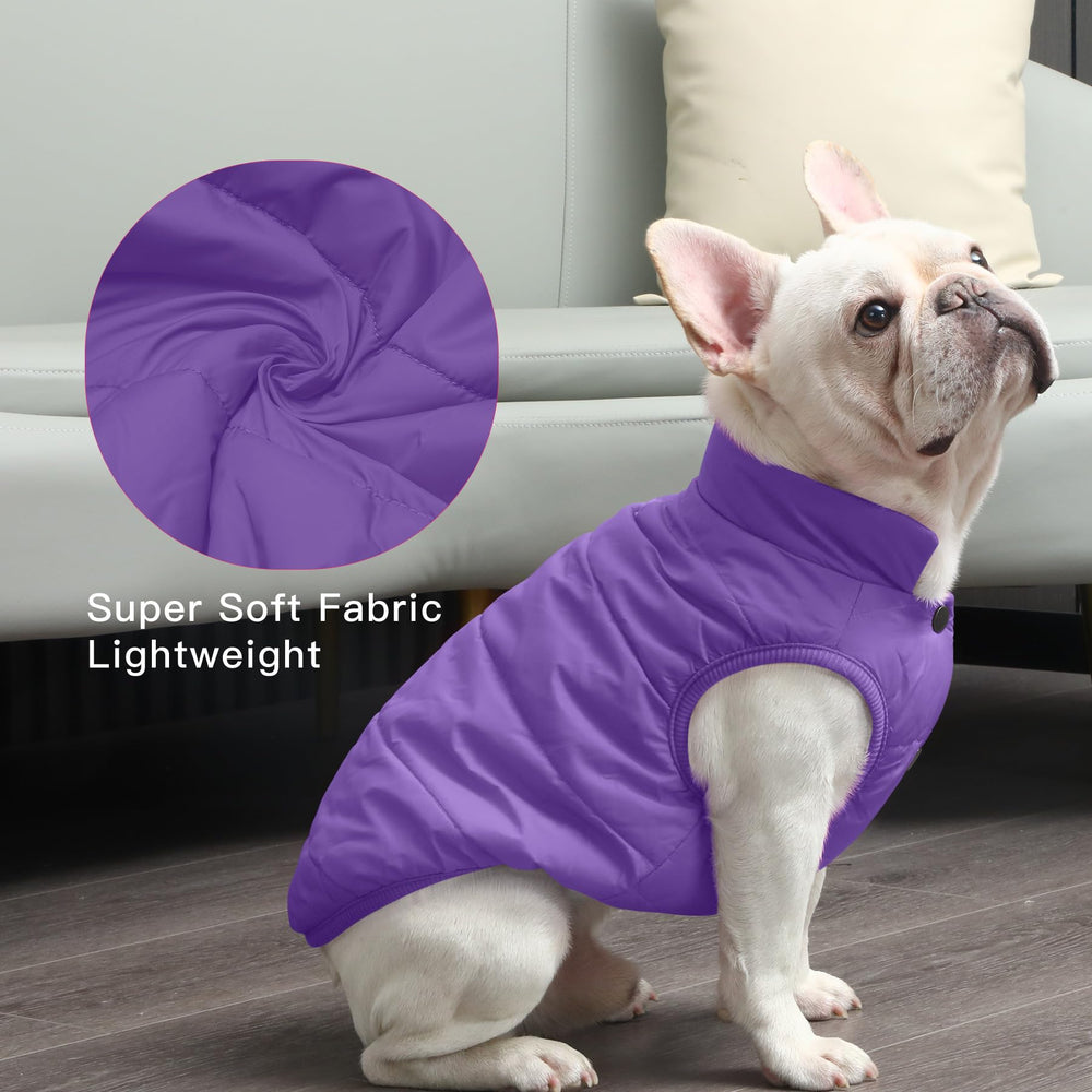 JoyDaog 2-layer fleece-lined dog jacket dusk shot for winter-ready wear.