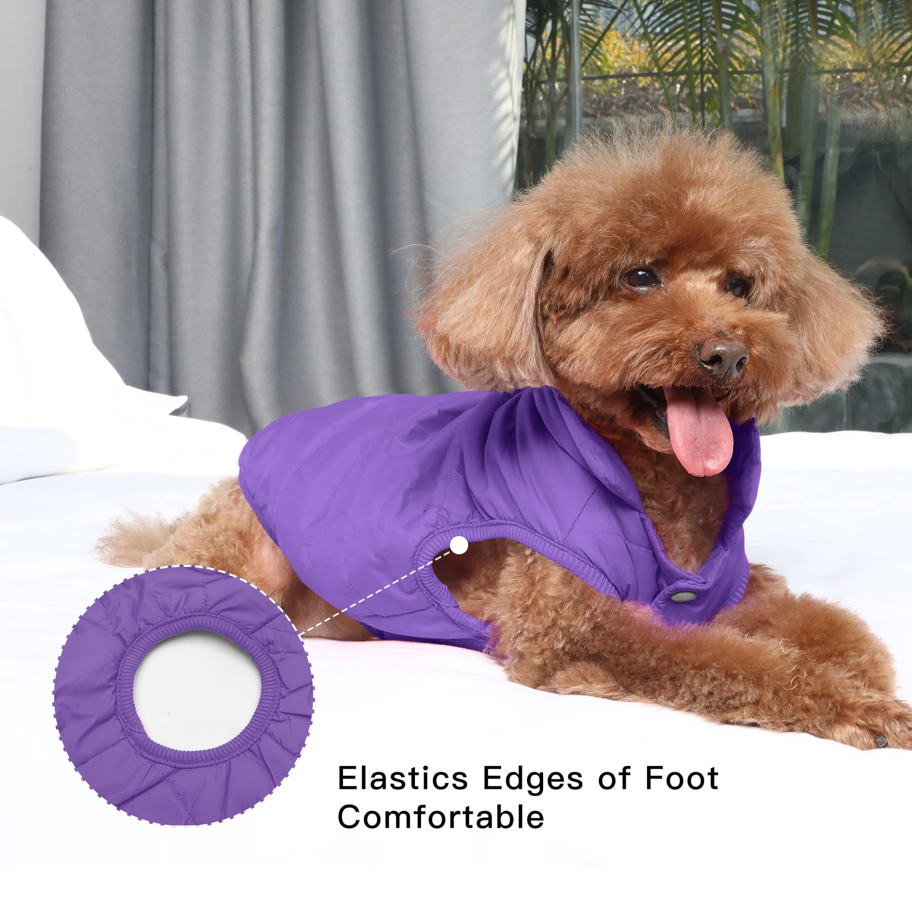 JoyDaog 2-layer fleece-lined dog jacket elastic edges ensure snug cuffs.