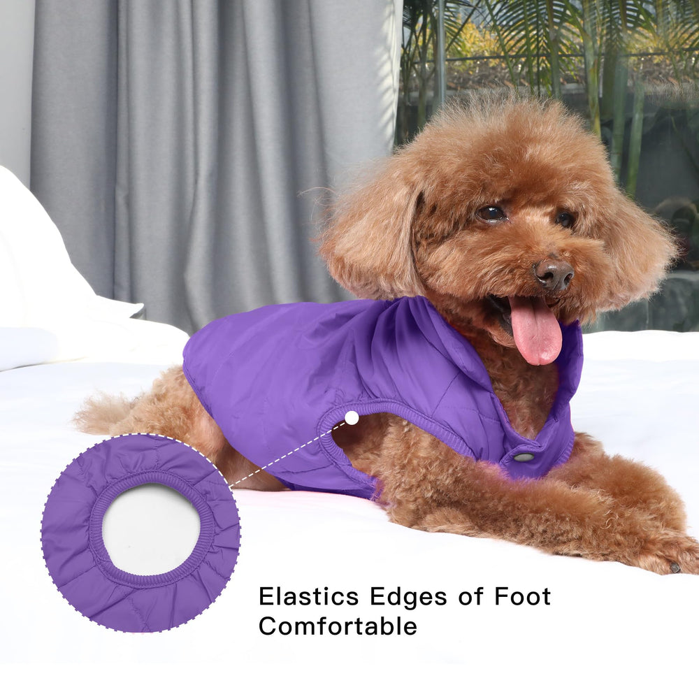 JoyDaog 2-layer fleece-lined dog jacket elastic edges ensure snug cuffs.