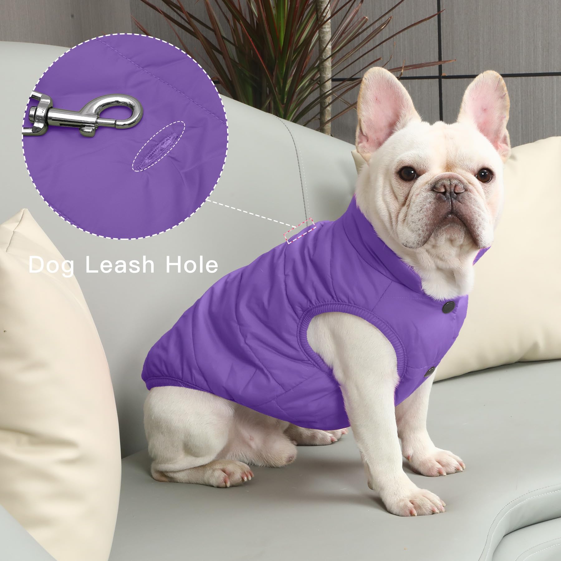 JoyDaog 2-layer fleece-lined dog jacket leash hole enables quick leash access.