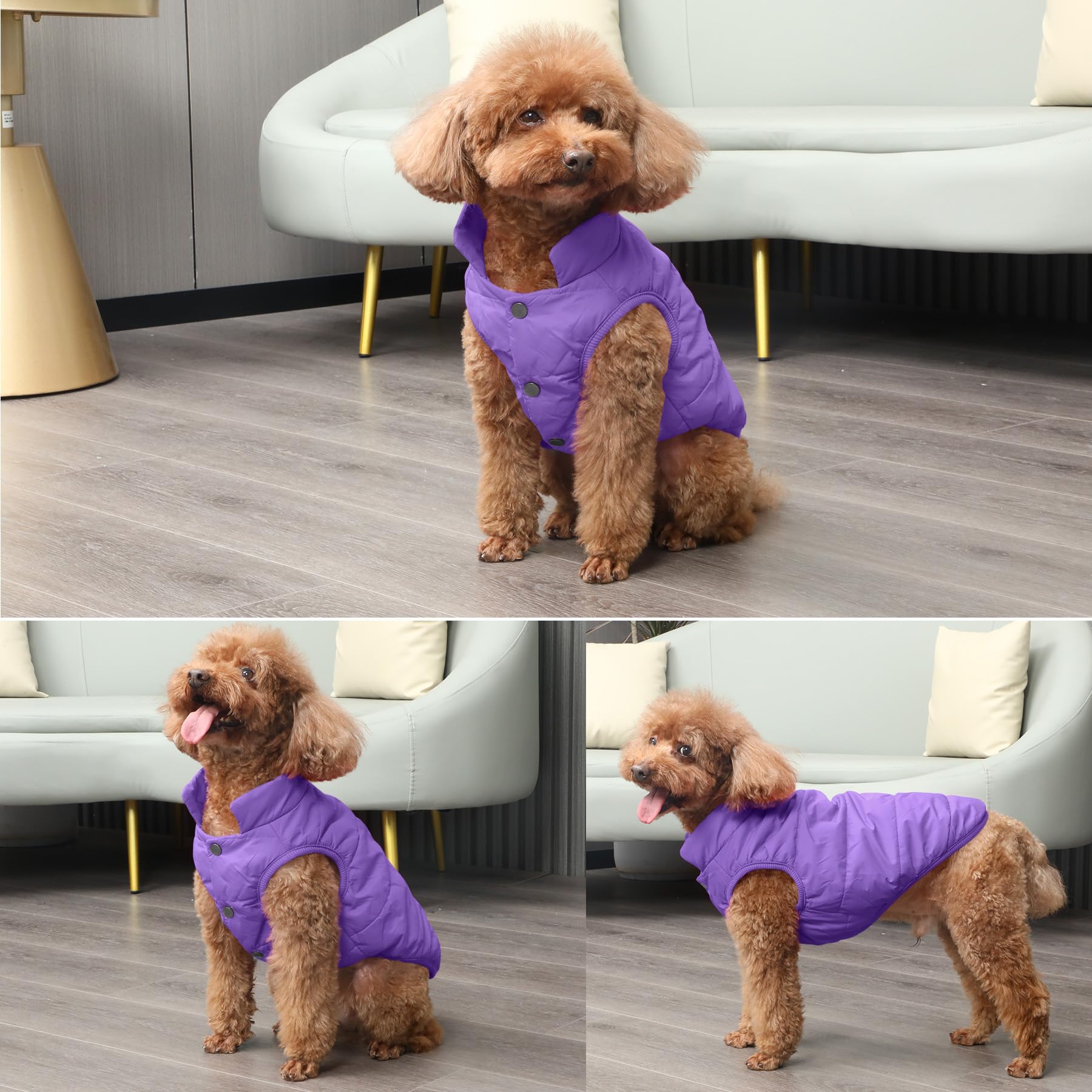 JoyDaog 2-layer fleece-lined dog jacket packaging shows lightweight, space-saving design.