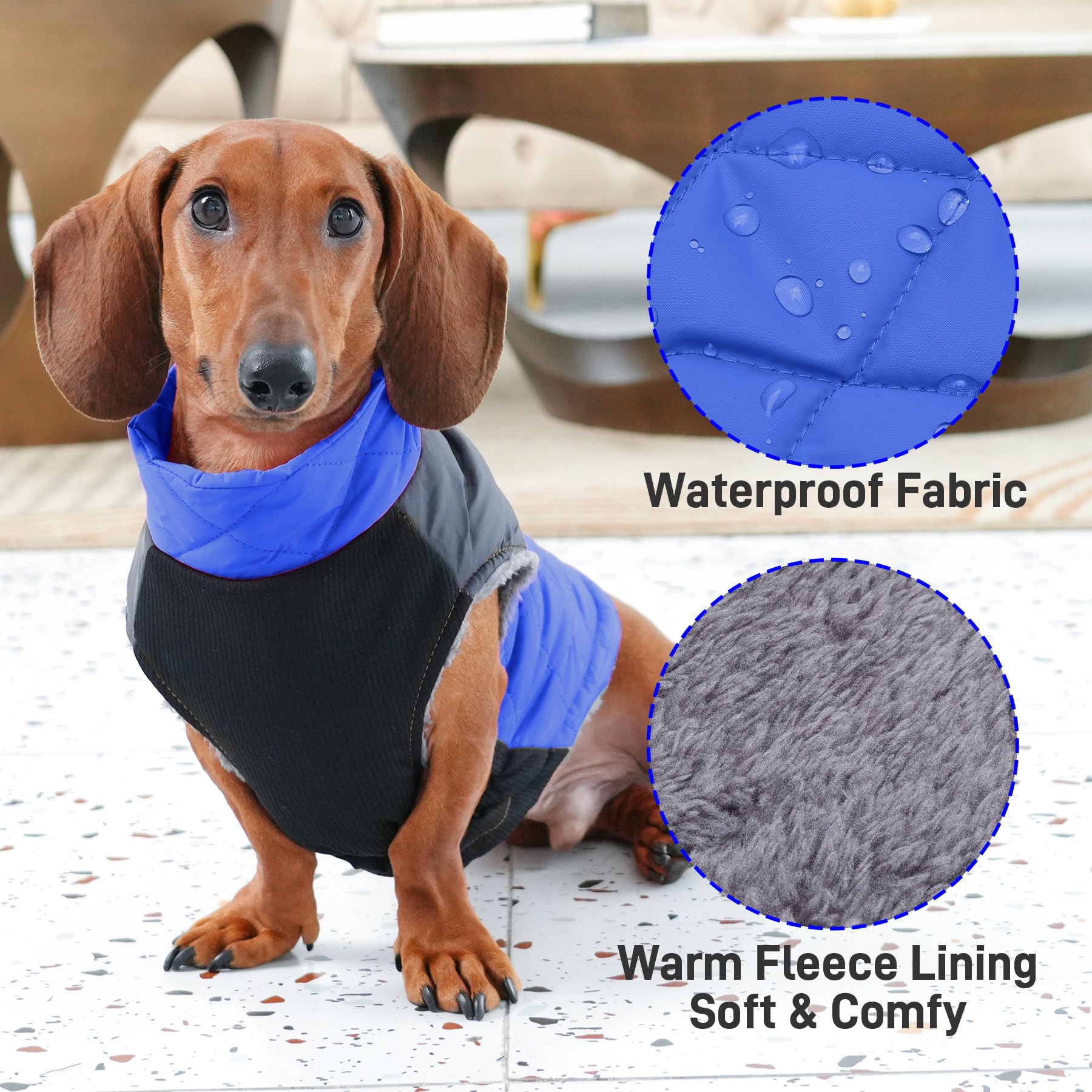 JoyDaog abdominal elastic design ensures comfortable movement.