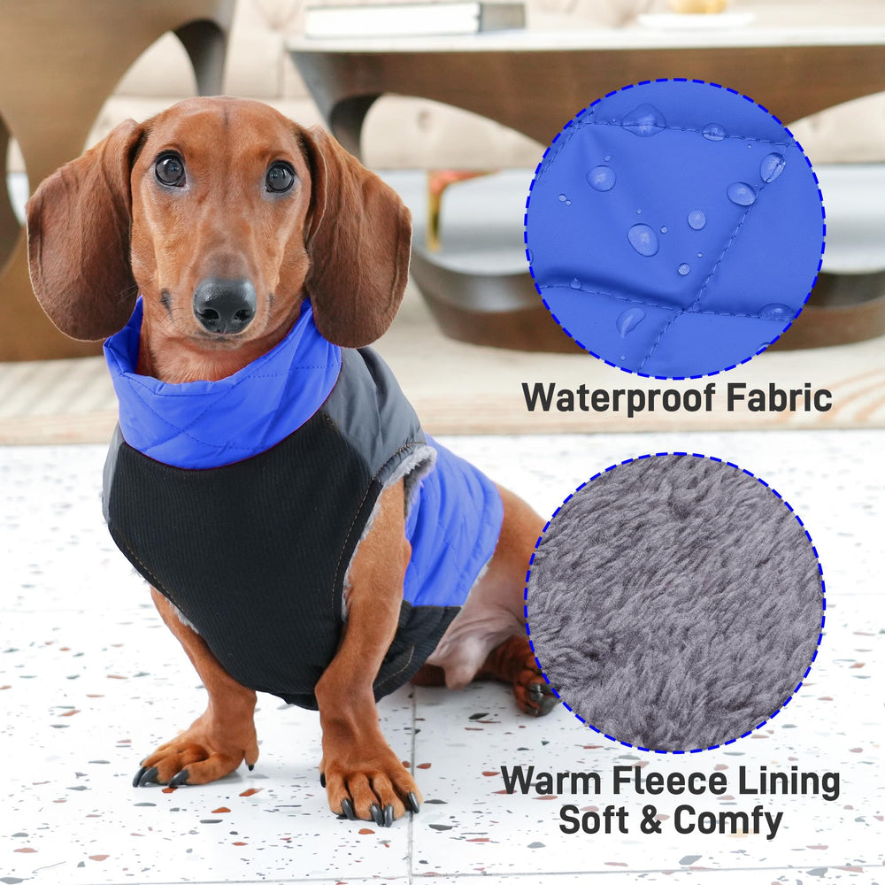 JoyDaog abdominal elastic design ensures comfortable movement.