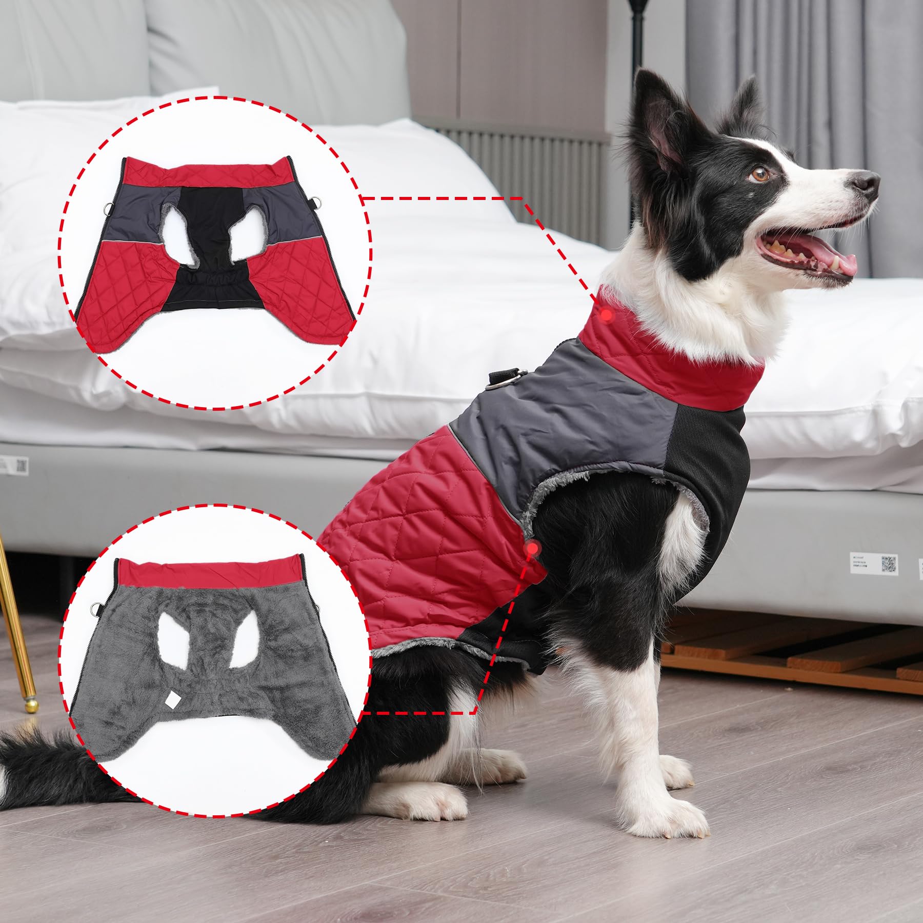 JoyDaog abdominal elastic design adds comfort and freedom