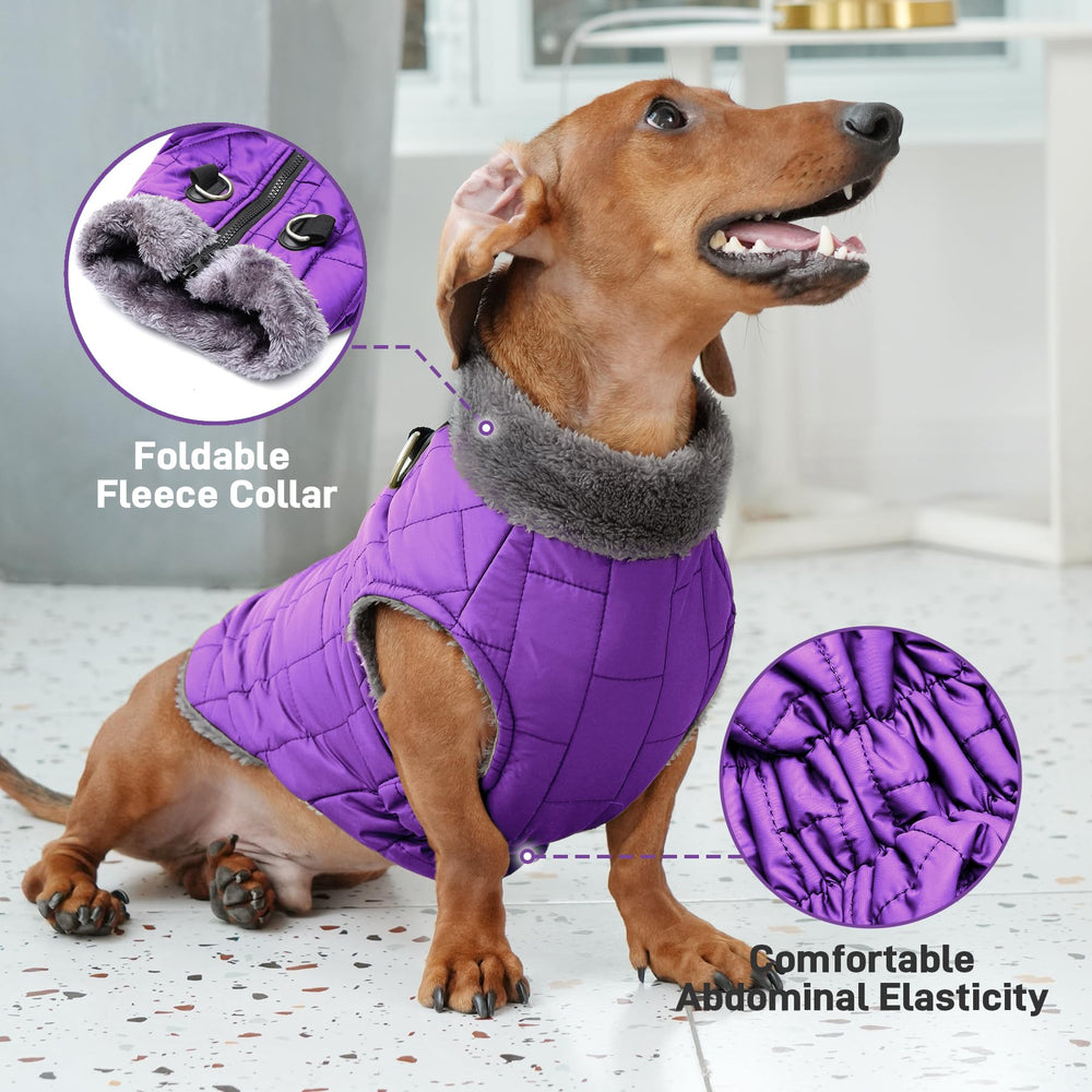 JoyDaog Abdominal elastic design delivers comfortable fit during movement.