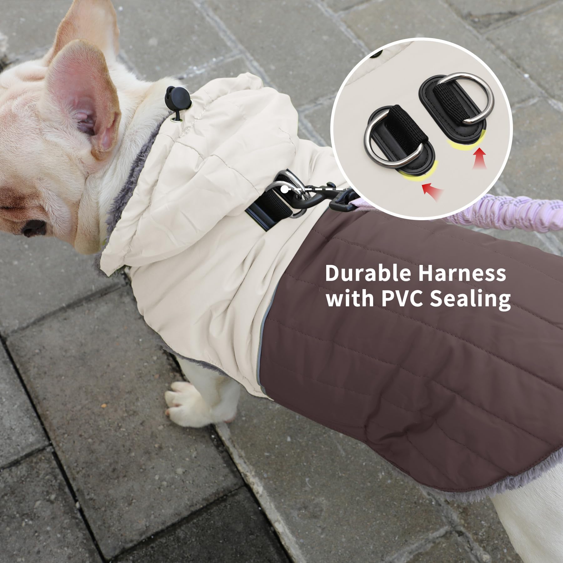 JoyDaog adjustable waist design ensures a secure, comfortable fit for small dogs