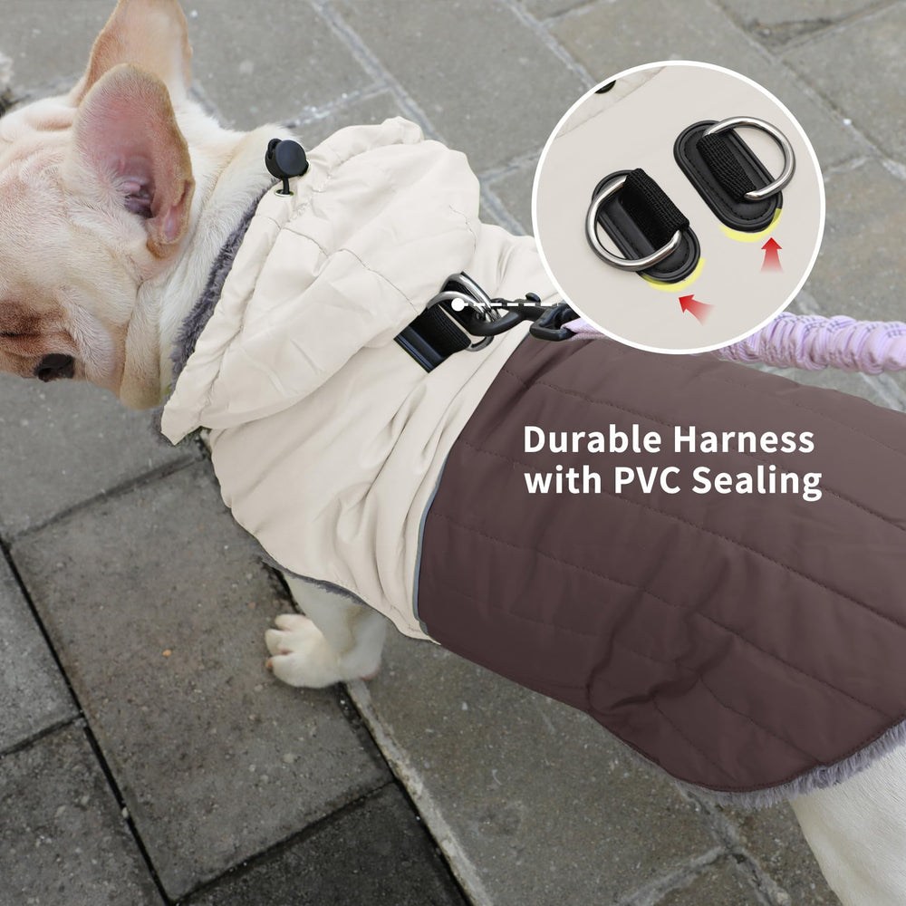 JoyDaog adjustable waist design ensures a secure, comfortable fit for small dogs