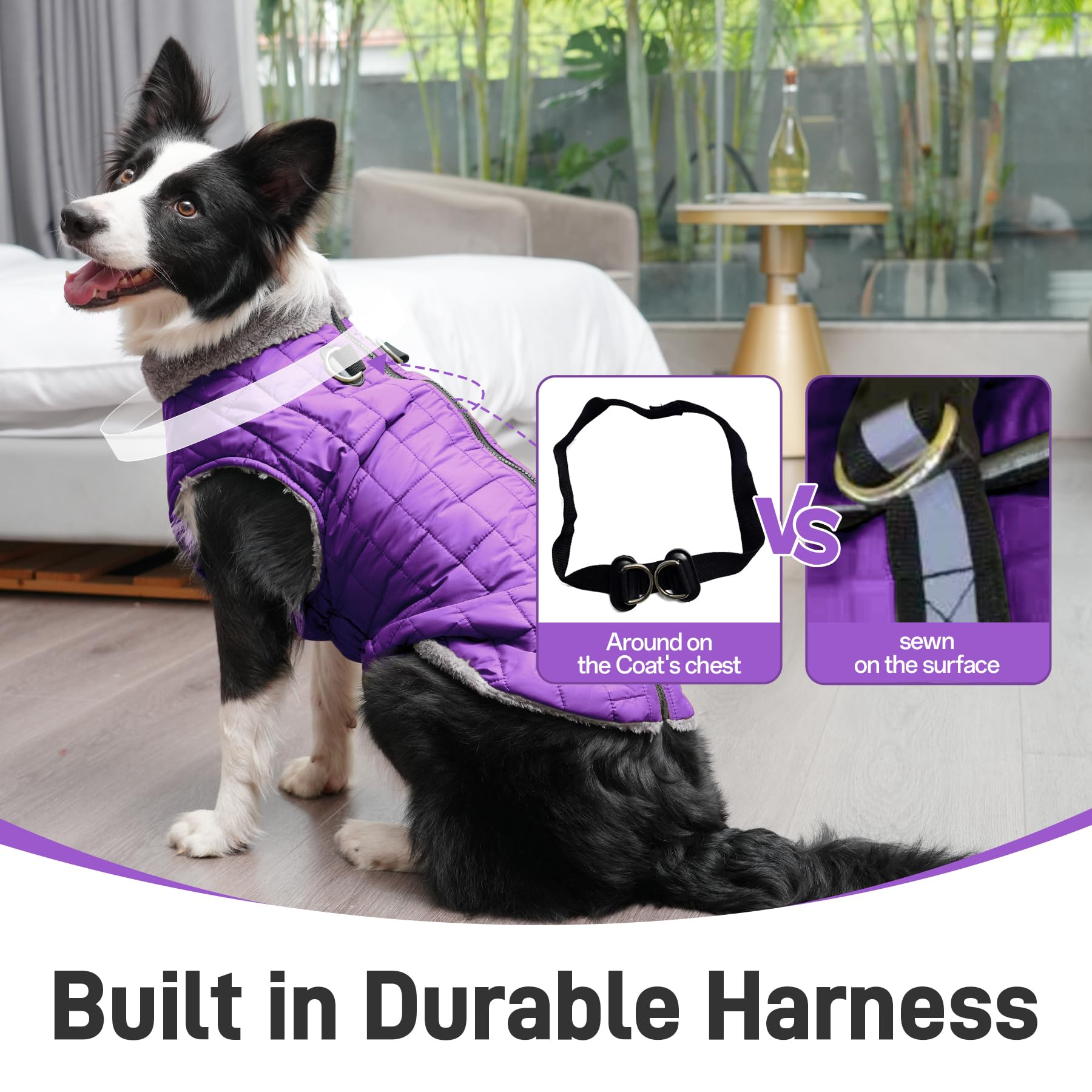 JoyDaog Back zipper design allows easy on and off for dogs.