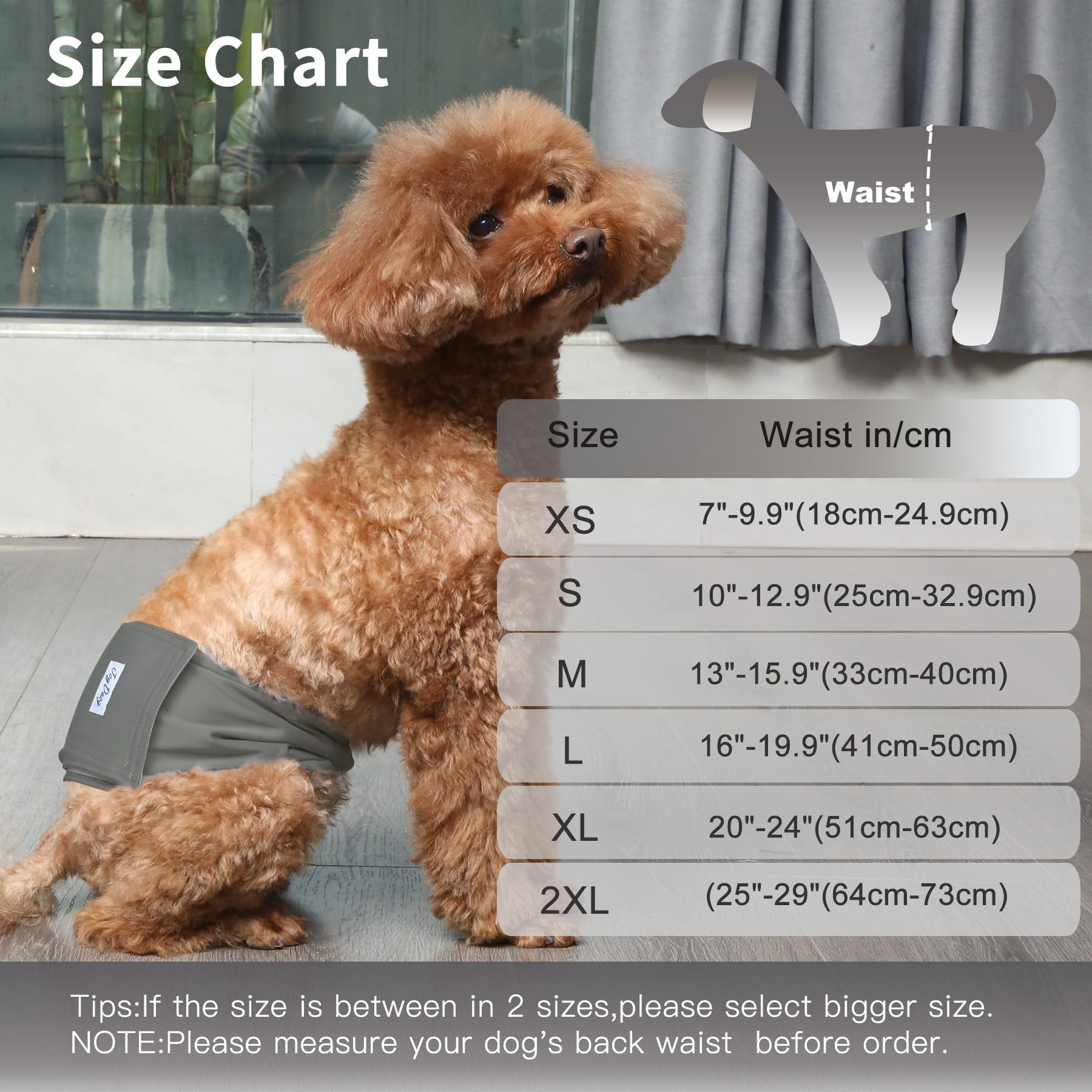 JoyDaog belly band shows absorbent middle pad for reliable protection during house training.