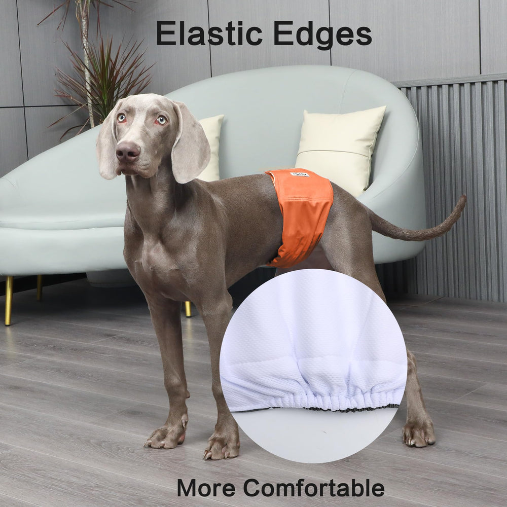 JoyDaog elastic edges ensure safe, snug fit around the waist.