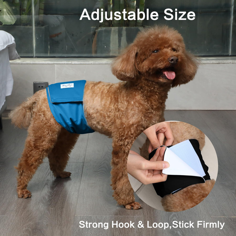 JoyDaog reusable washable design saves money and reduces waste.