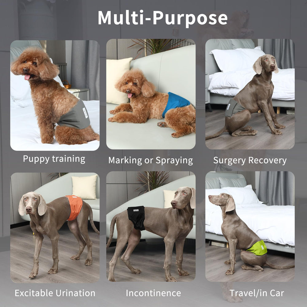 JoyDaog belly band leakproof with 2-layer microfiber and waterproof outer layer.