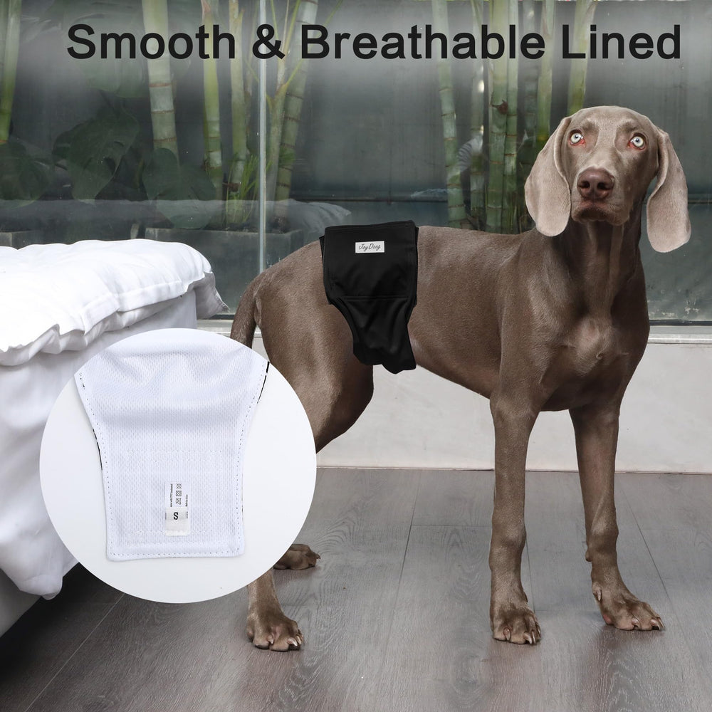 JoyDaog five-color set offers reusable, stylish options.
