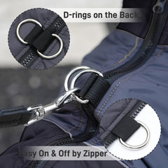 JoyDaog red-grey colorblocking adds stylish visibility for small dogs.