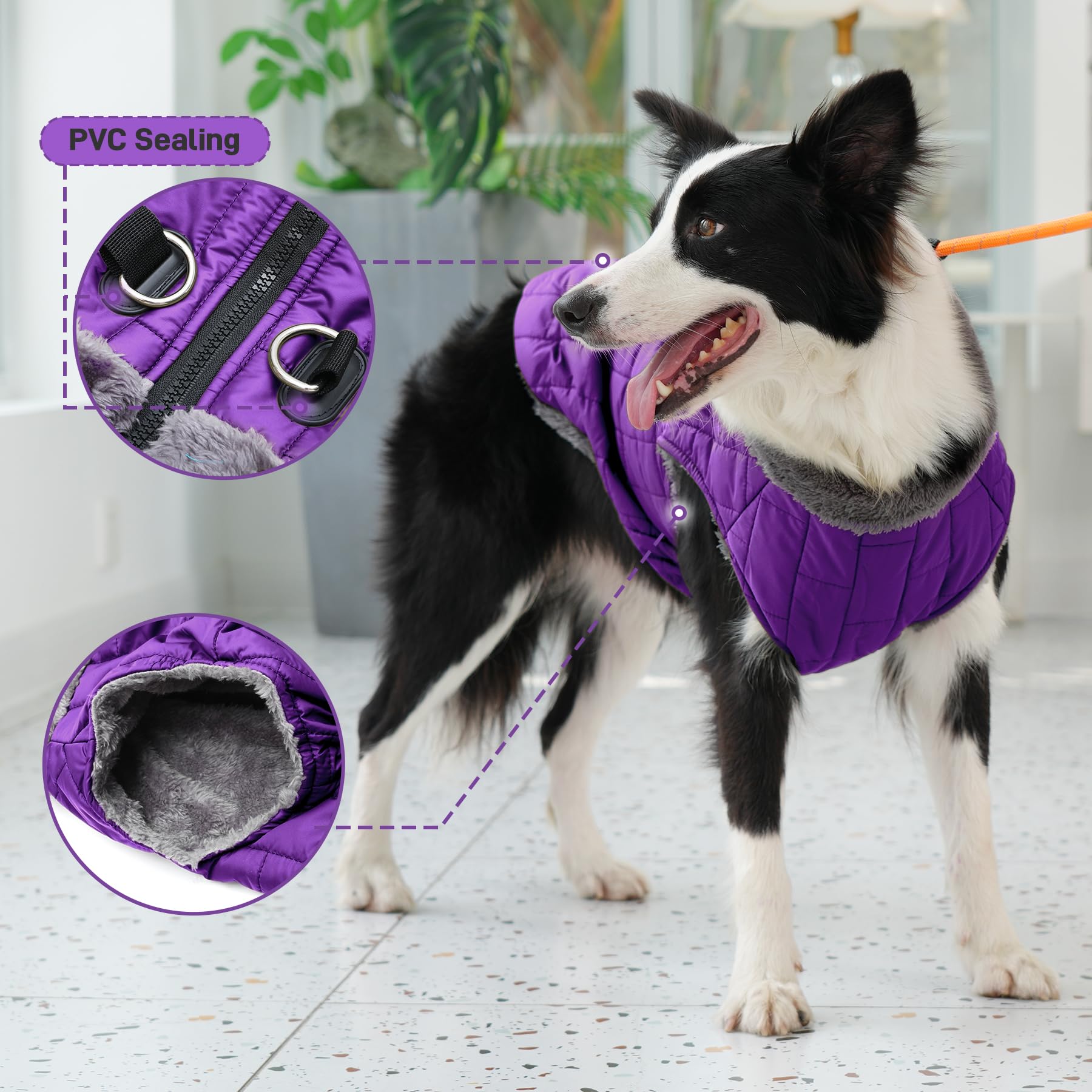 JoyDaog D-rings with PVC seals ensure secure leash attachment.