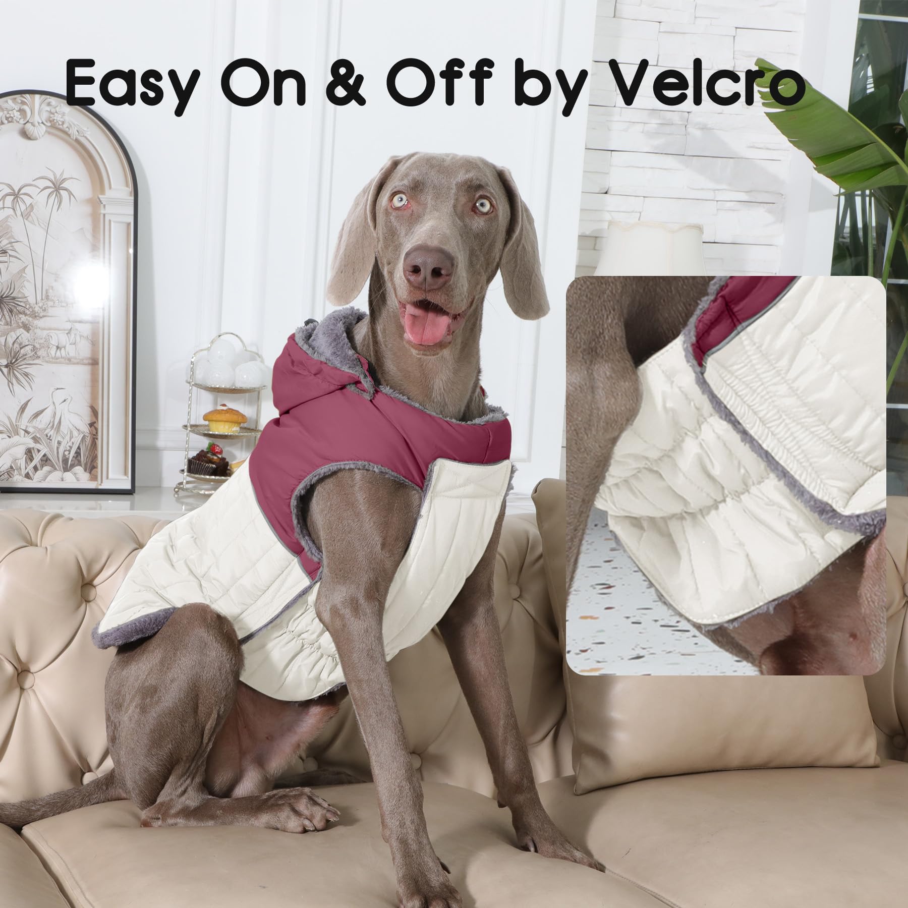 JoyDaog coat focuses on easy-on and easy-off dressing.