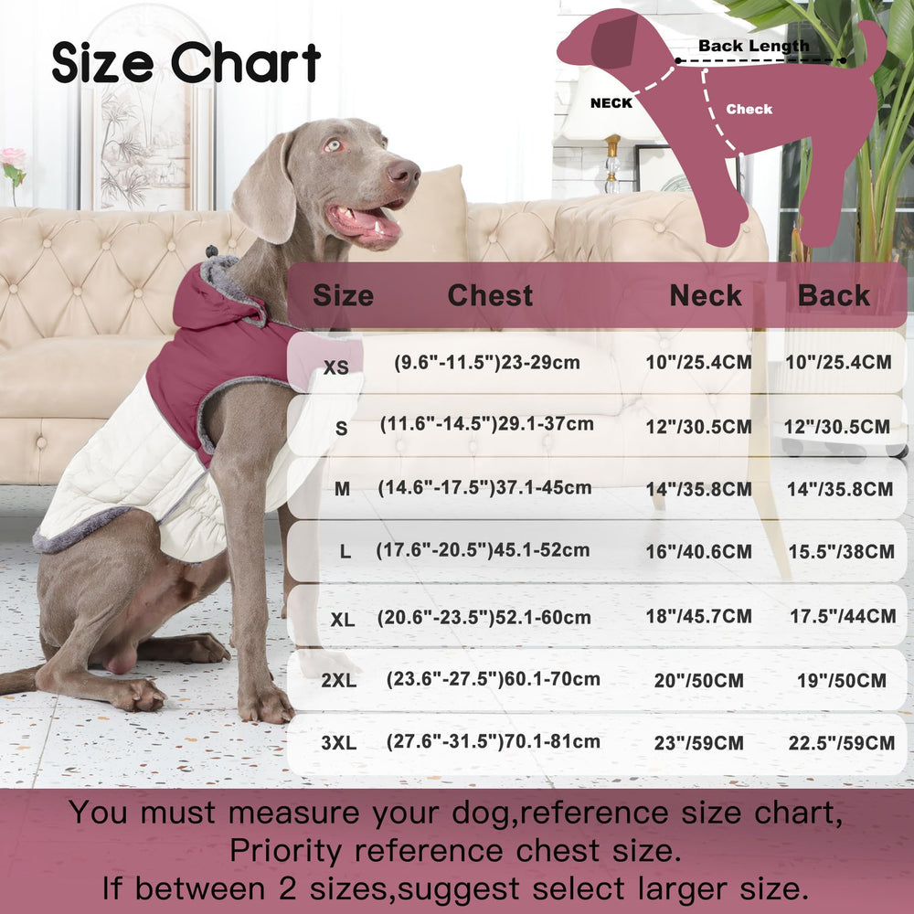 JoyDaog detachable hooded coat with harness—hood off for warmer, lighter wear.