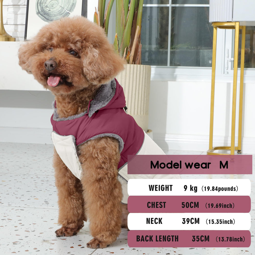 JoyDaog size S designed for small dogs with chest 29.1–37 cm.
