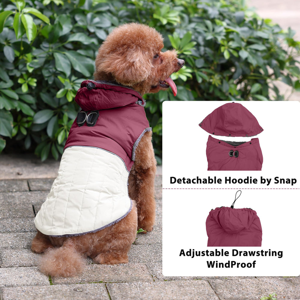 JoyDaog three-layer construction highlights warmth and durability.