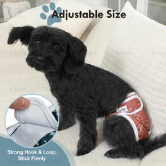 JoyDaog adjustable waist system secures fit during active dogs
