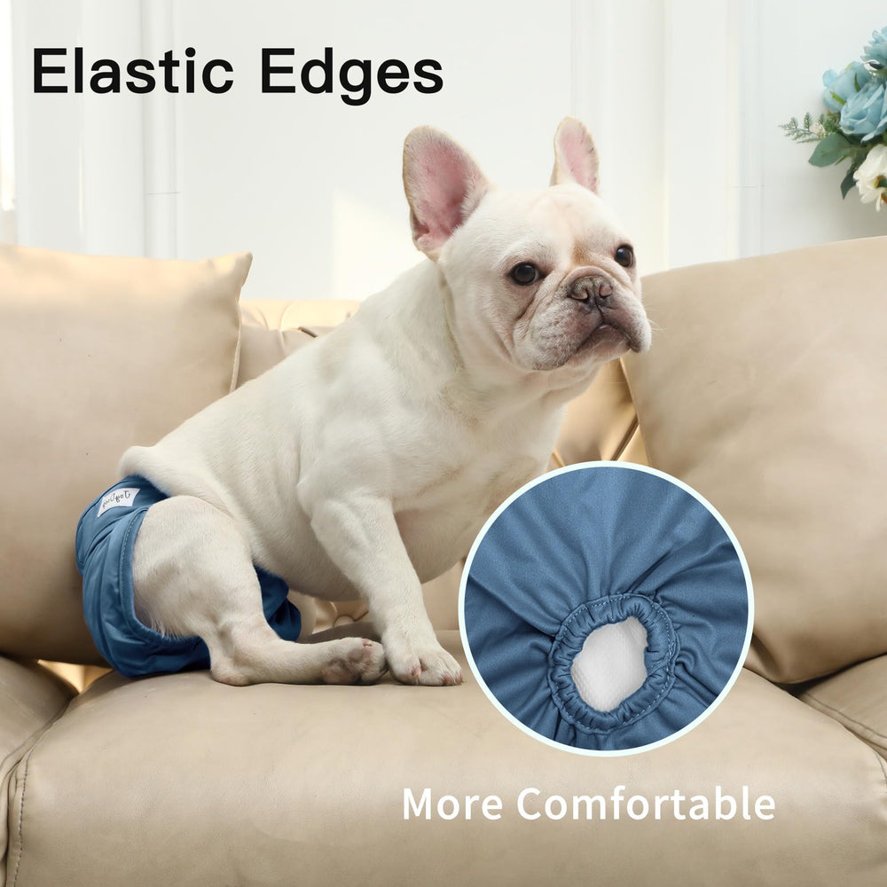 JoyDaog reusable washable design saves money and reduces waste.