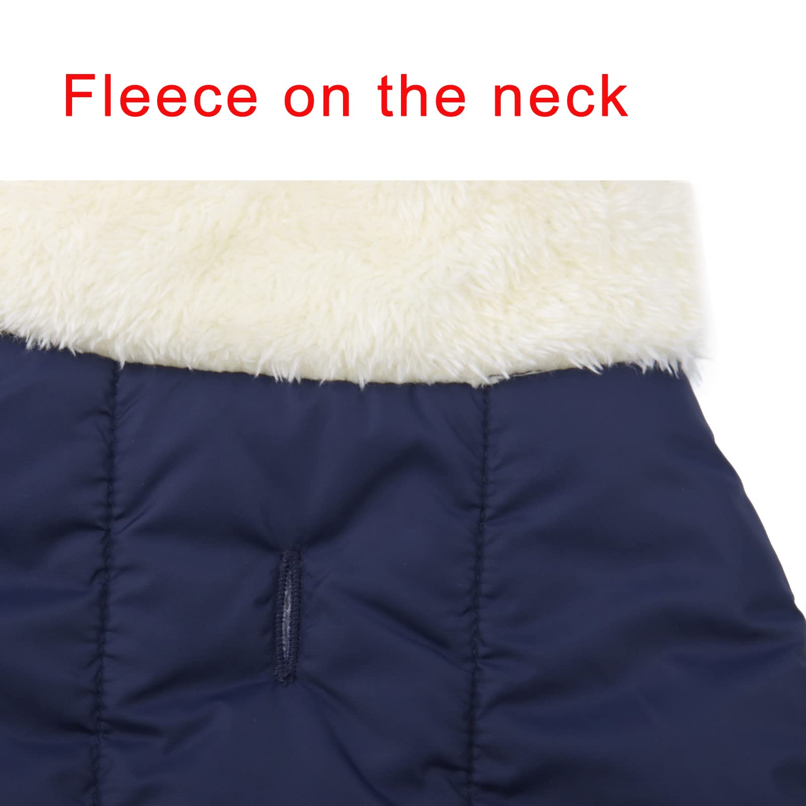 JoyDaog leash hole at neck enables secure leash integration.