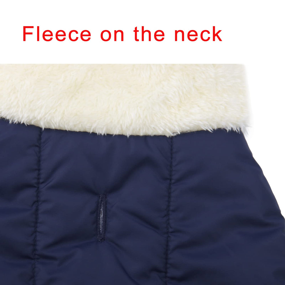 JoyDaog leash hole at neck enables secure leash integration.