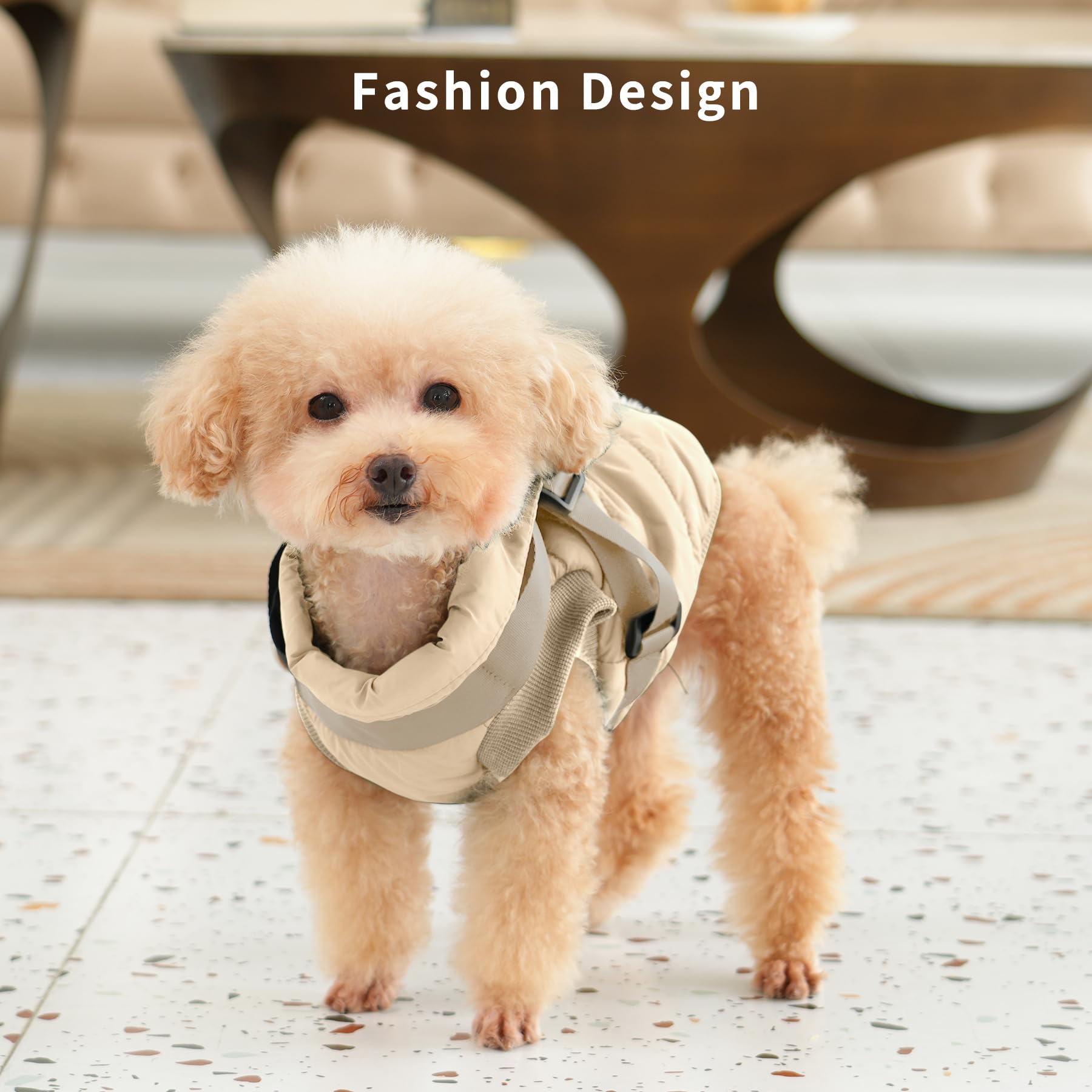 JoyDaog elastic edge detail around paws keeps coat secure.