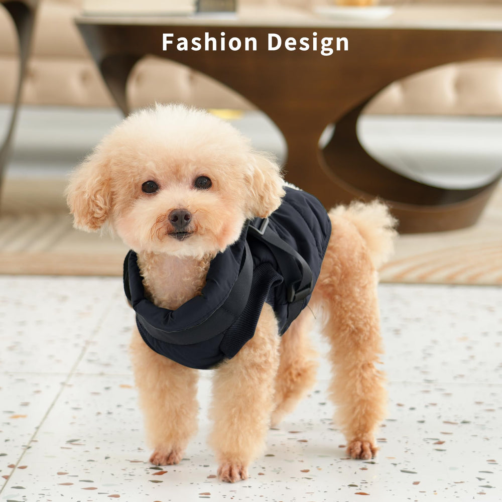 JoyDaog snaps-on-off feature image for quick dressing after rain.