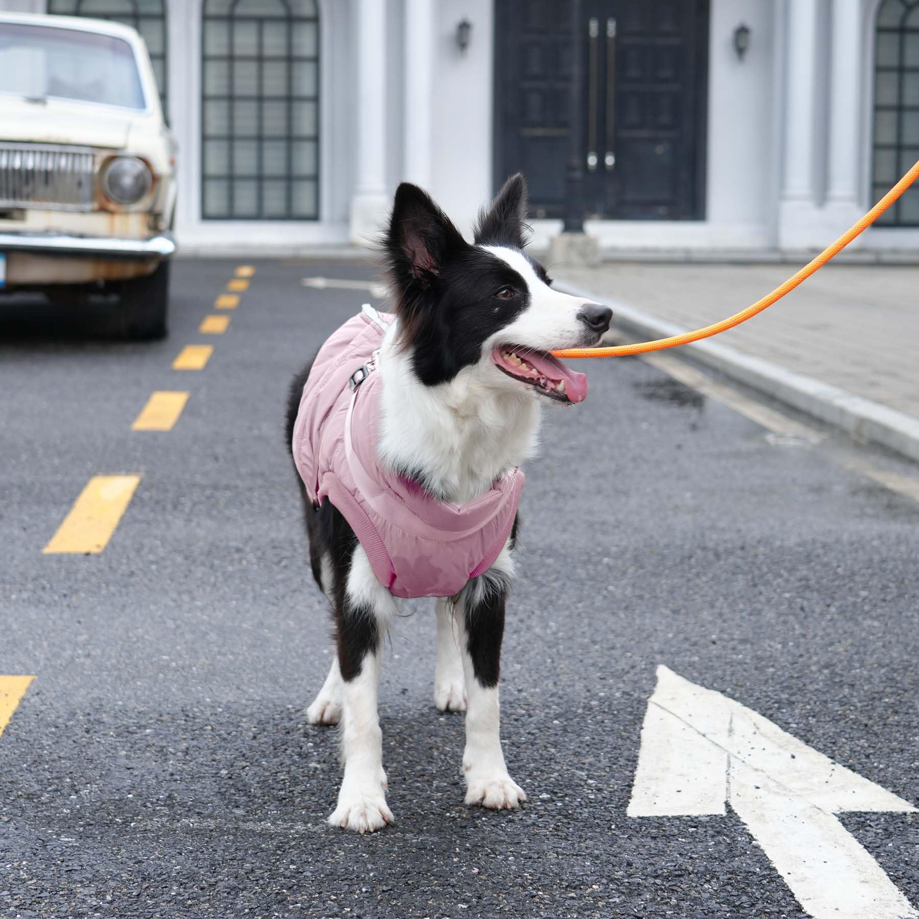 JoyDaog windproof outer fabric in light pink XXL blocks chilly gusts