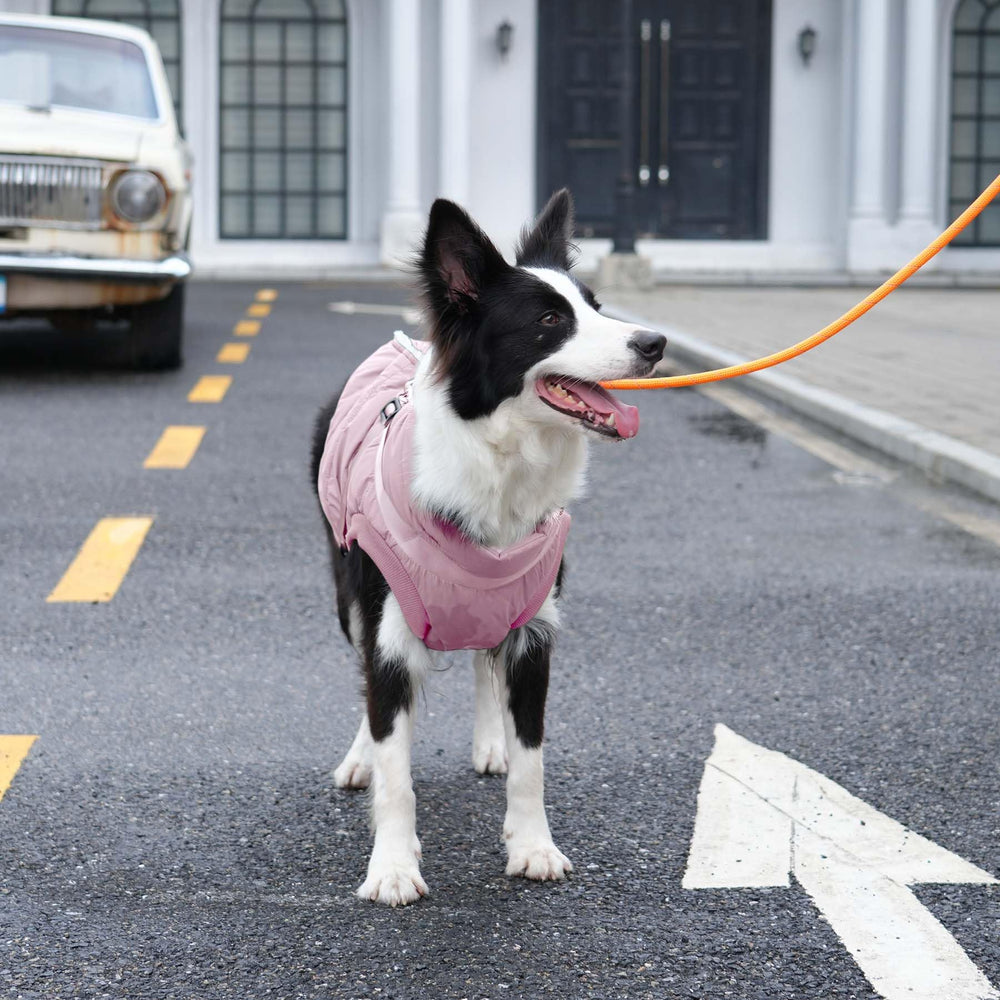 JoyDaog windproof outer fabric in light pink XXL blocks chilly gusts