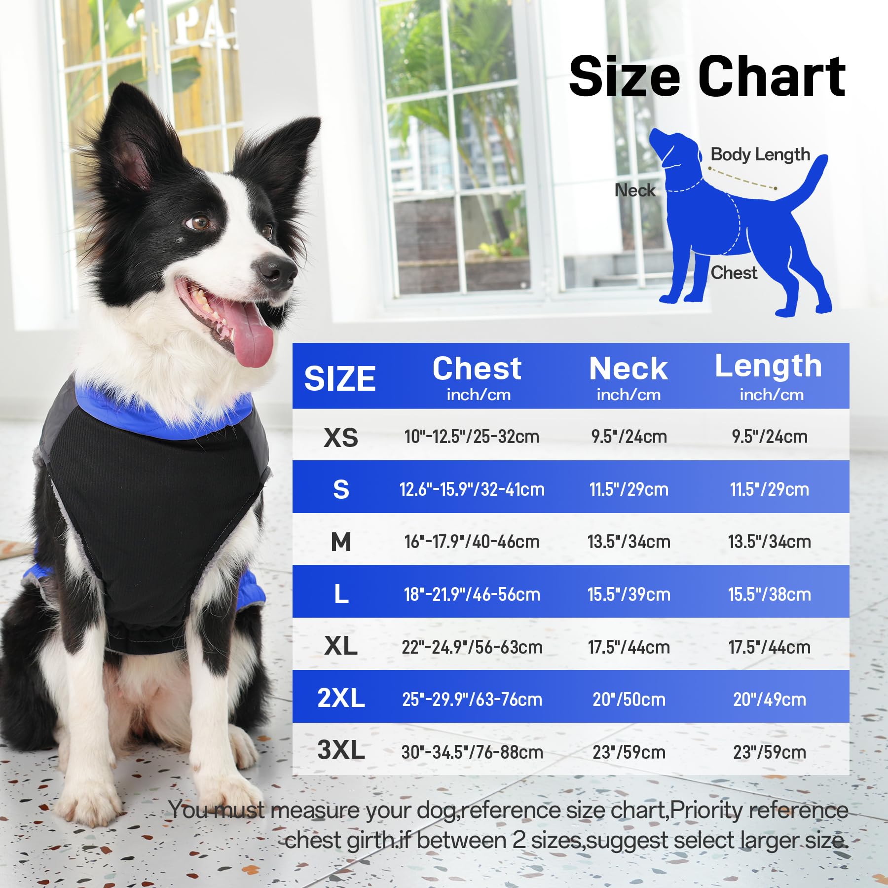 JoyDaog coat with two back D-rings for leash attachment