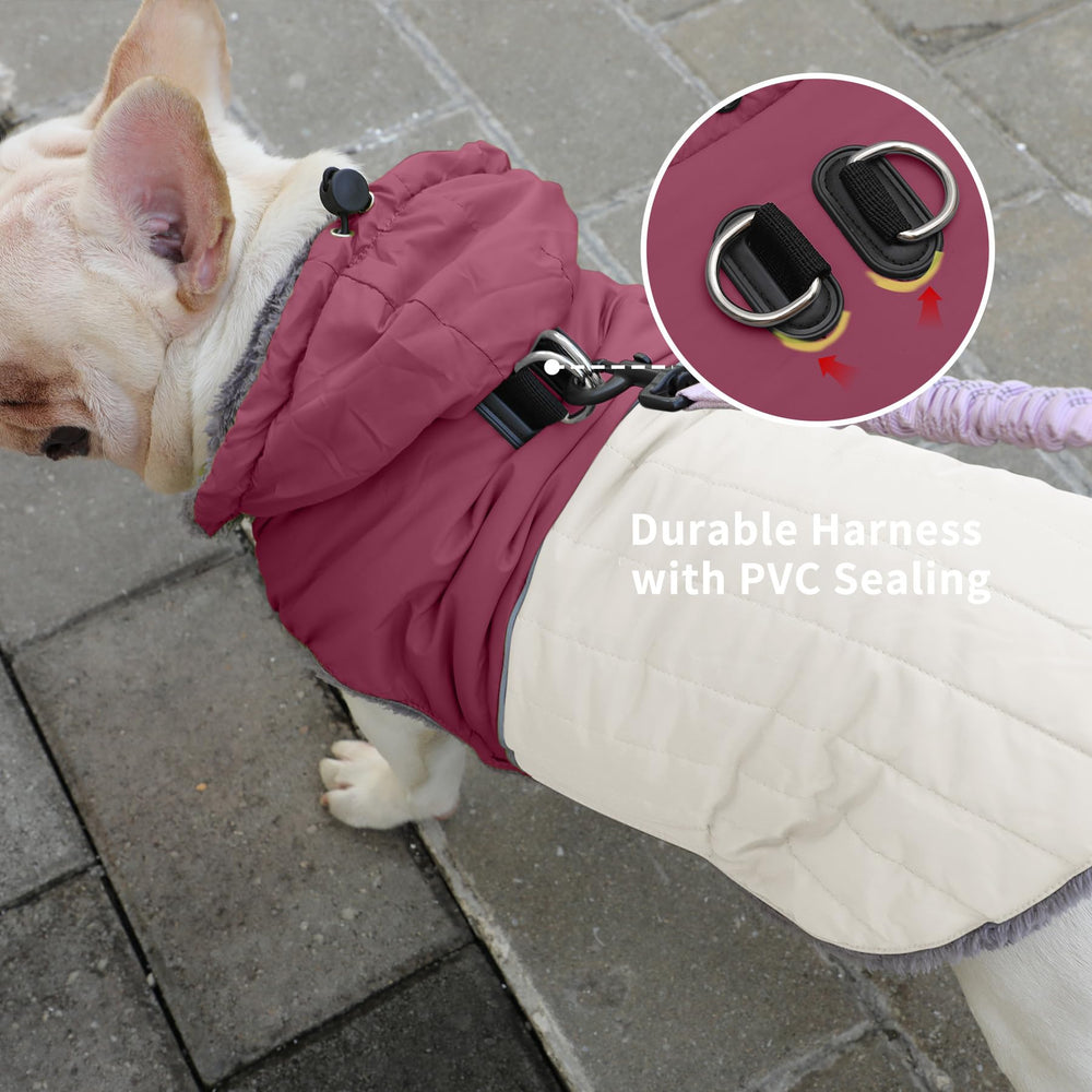 JoyDaog easy-on-off design simplifies dressing for busy mornings.