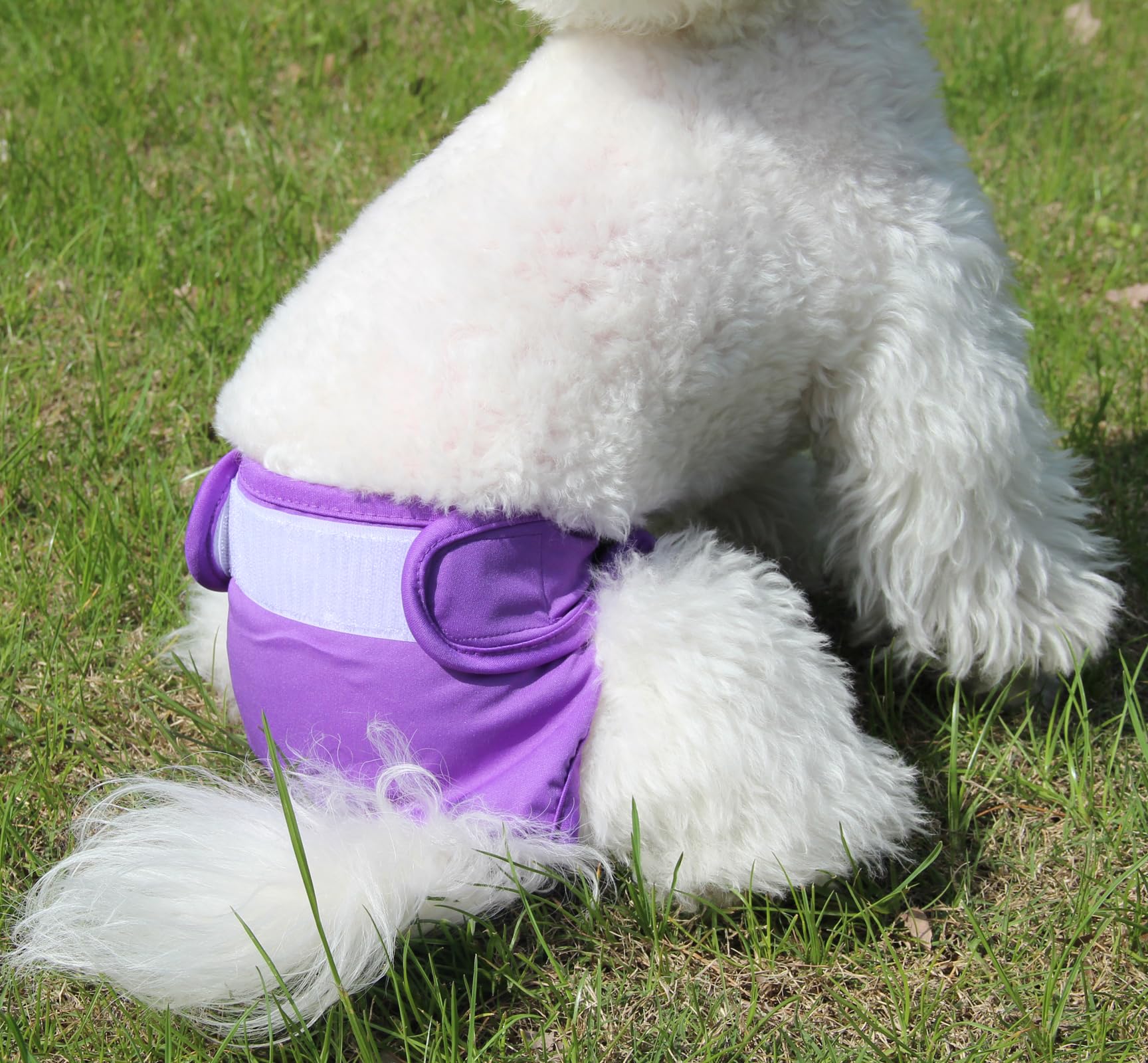 JoyDaog absorption pad close-up shows two-layer microfiber and strong absorption.