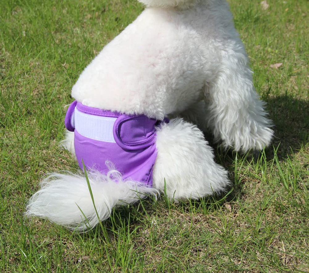 JoyDaog brown diaper shows durable, washable design for everyday use.