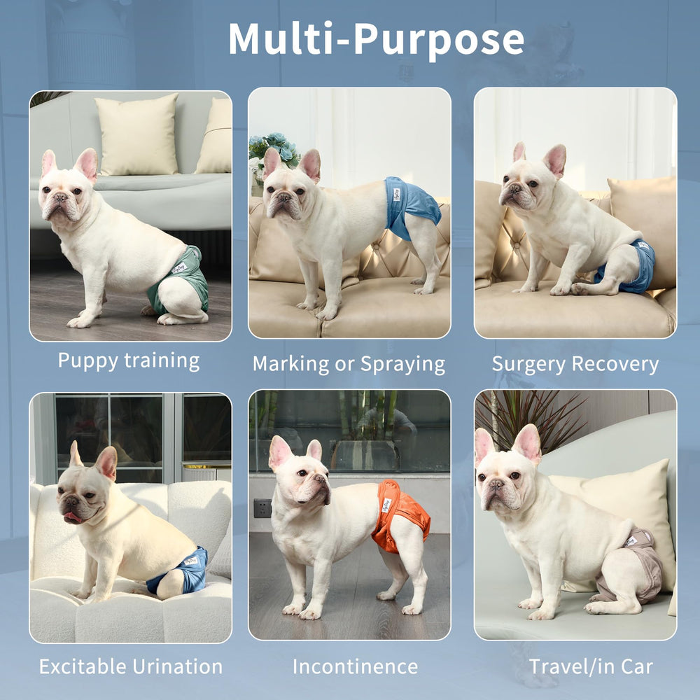 JoyDaog female dog diapers in camel demonstrate discreet, washable protection during training.