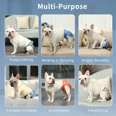 JoyDaog female dog diapers in camel demonstrate discreet, washable protection during training.
