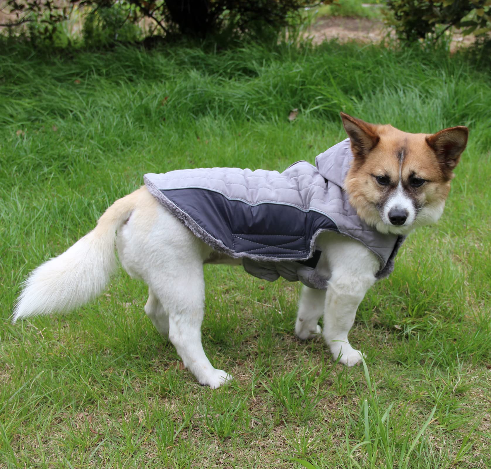 JoyDaog fleece dog hoodie adjustable waist ensures a secure, comfortable fit.