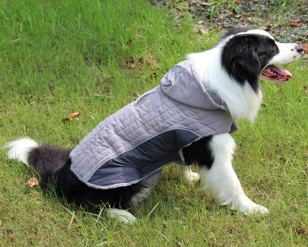 JoyDaog fleece dog hoodie dual leash holes fit multiple leash styles.
