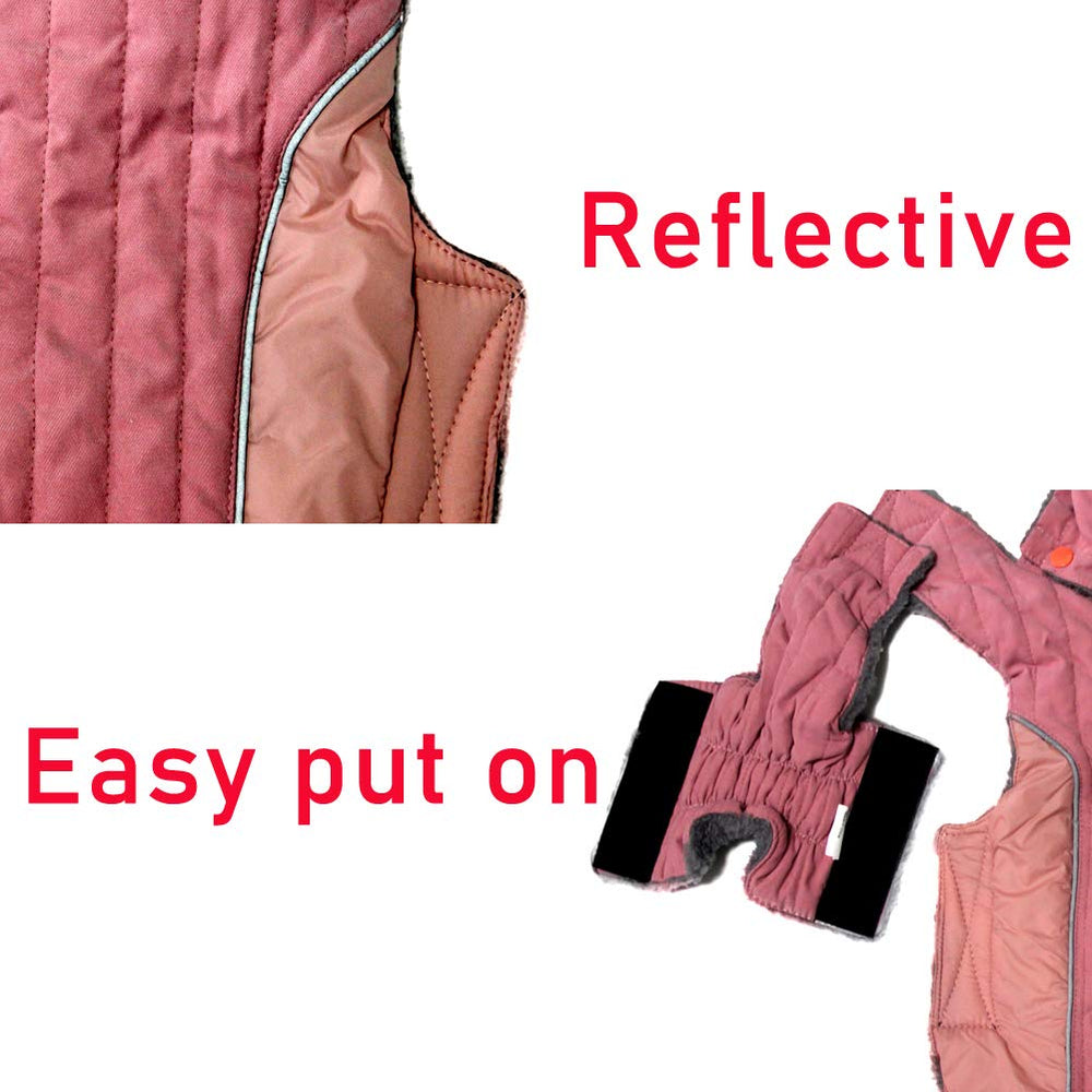 JoyDaog easy-on, easy-off design for quick dressing