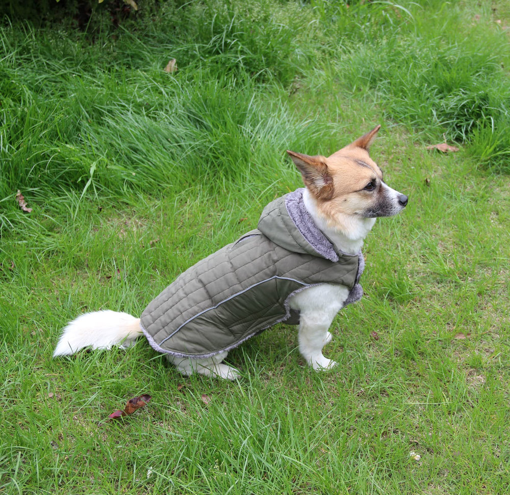 JoyDaog Fleece Dog Hoodie with two leash holes for flexibility.