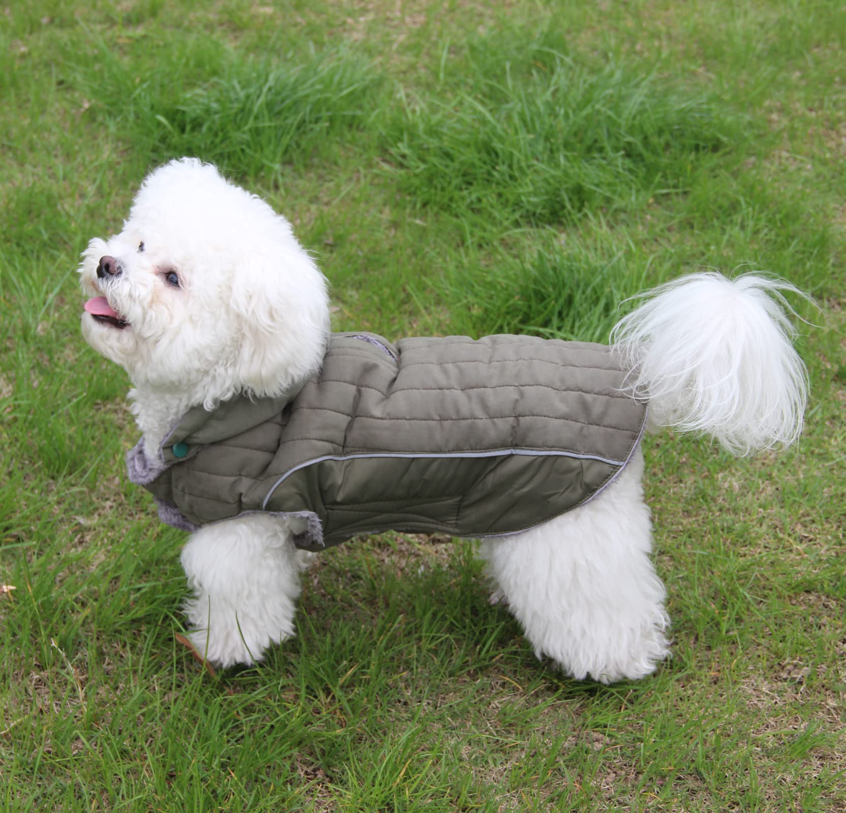 JoyDaog Fleece Dog Hoodie reflective strip for safer night strolls.