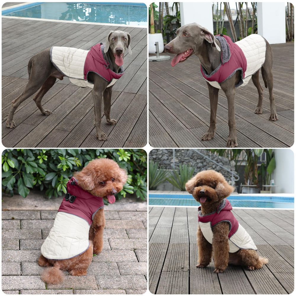 JoyDaog hood with snap highlights easy on/off dressing for quick outings.