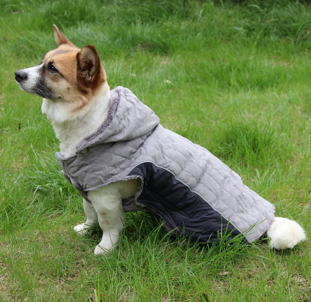 JoyDaog adjustable waist for a snug, comfortable fit