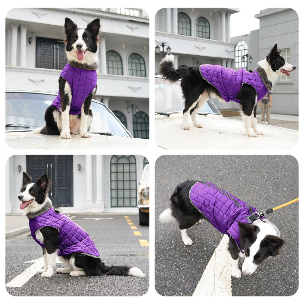 JoyDaog Lightweight winter coat keeps small dogs cozy without bulk.