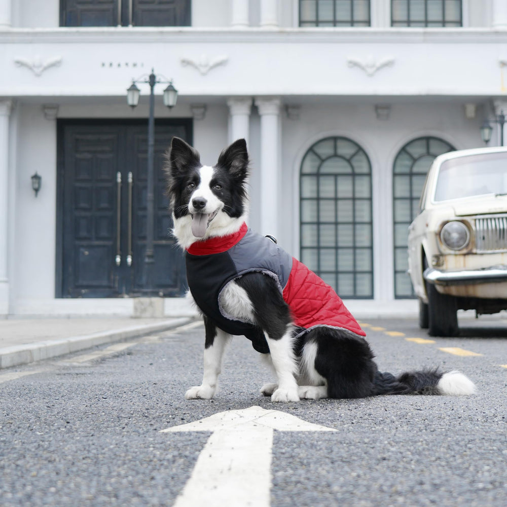JoyDaog care: hand or machine washable