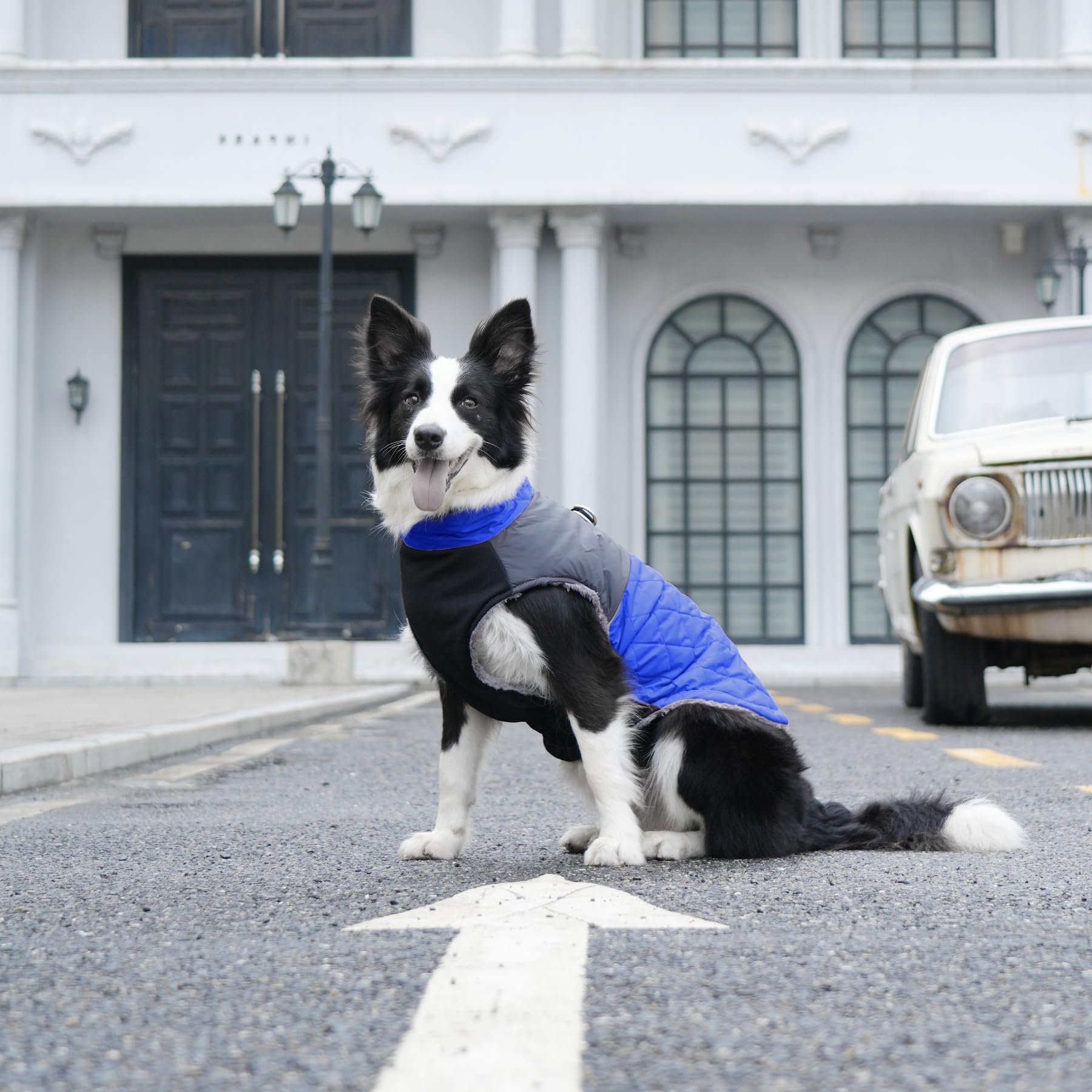 JoyDaog machine washable coat for easy at-home cleaning.