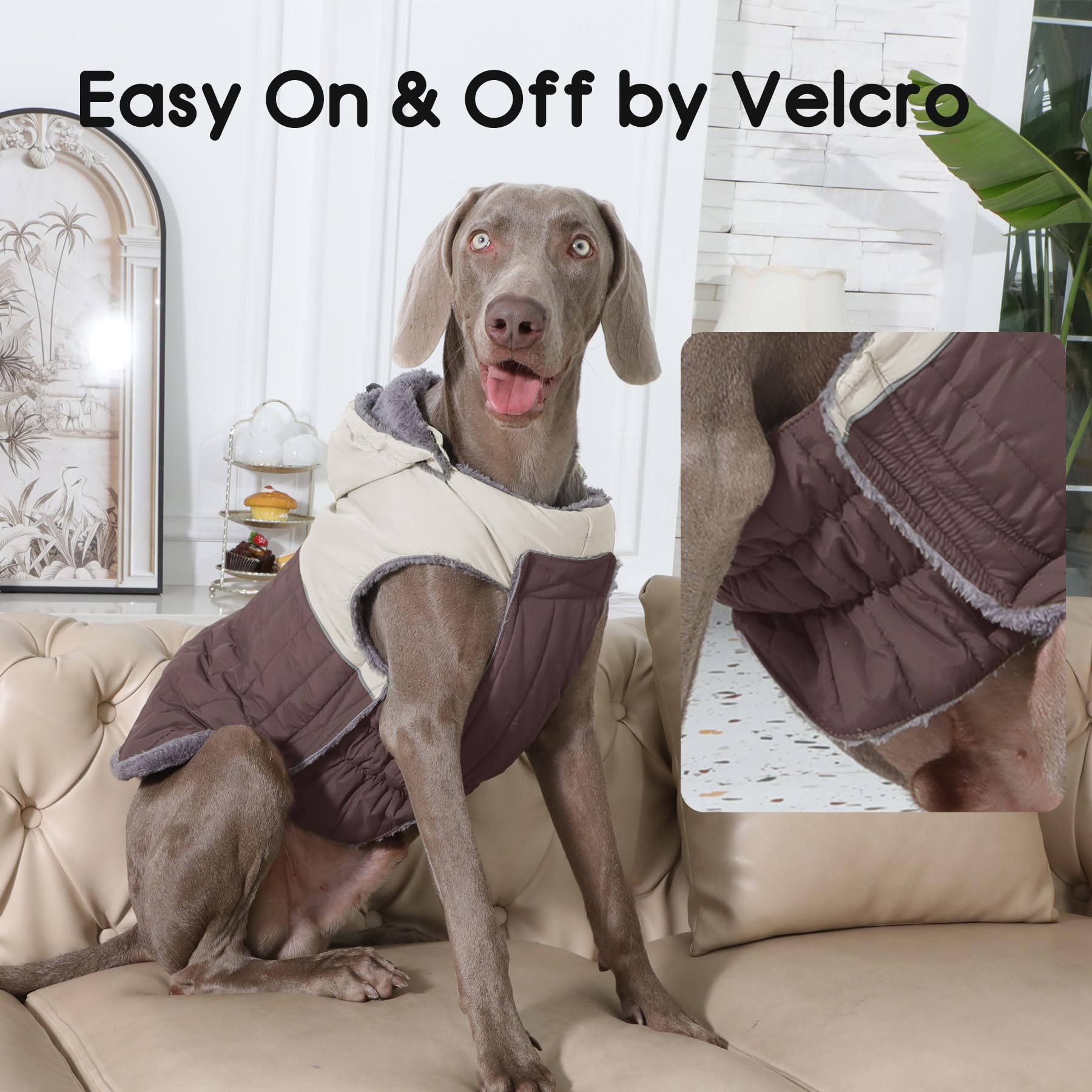 JoyDaog measured chest size for proper fit in size S coat