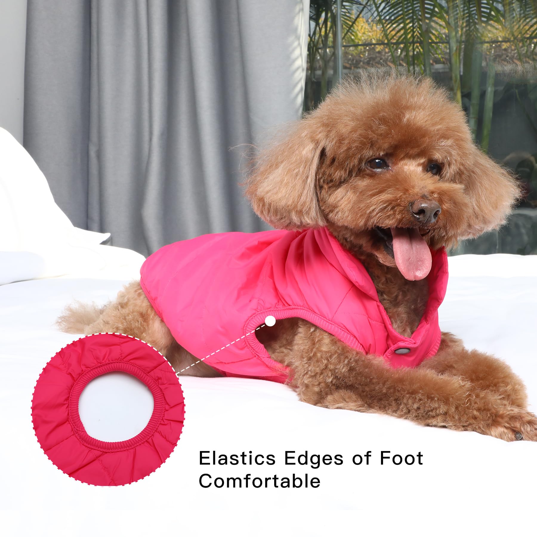 JoyDaog pink small dog coat sizing reference chest fit